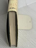 草原の彗星チムール 新潮社 森下 研