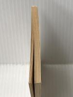 ガサラキ 村井中尉の決心 ガサラキ (角川mini文庫) KADOKAWA 野崎 透