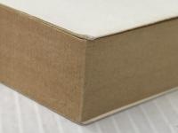 アルジャーノンに花束を (ダニエル・キイス文庫 1) 早川書房 ダニエル キイス