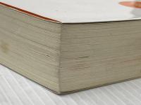 匣の中の失楽 (双葉文庫 た 22-1) 双葉社 竹本 健治