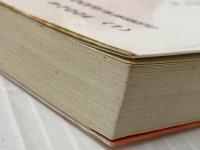 魔の系譜 (講談社学術文庫 661) 講談社 谷川 健一