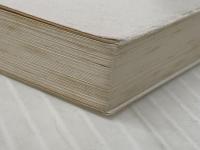 ※イタミ有 ポケットの中の野生: ポケモンと子ども (新潮文庫 な 23-2) 新潮社 中沢 新一