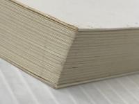 ※イタミ有 山椒魚 しびれ池のカモ (岩波少年文庫 535) 岩波書店 井伏 鱒二