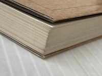 英会話アレルギーの治し方 (英語アレルギー・シリーズ 2) 英文朝日 長崎 玄弥