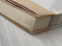 Q&A子どもの心身の発達と食事 芽ばえ社