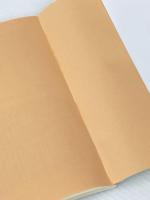 Q&A子どもの心身の発達と食事 芽ばえ社