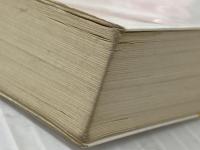 スモール イズ ビューティフル (講談社学術文庫 730) 講談社 F・アーンスト・シューマッハー