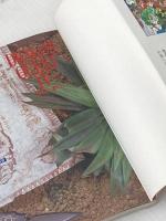 ファミコン奥義大全書ドラゴンクエスト4 (ジャンプコミックスセレクション) ホーム社