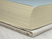 新・われら地球家族―自動車の街トリノから故国へ 澤田出版 宮川 秀之