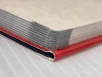 骨単: 語源から覚える解剖学英単語集 エヌ・ティー・エス 原島広至