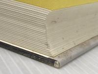 アジアの国家とNGO 明石書店 重冨 真一