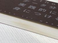 ※カバー無し Python for MBA Pythonとデータ分析を実践的に身につける 日経BP ダニエル・ゲッタ