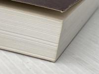 ※カバー無し Python for MBA Pythonとデータ分析を実践的に身につける 日経BP ダニエル・ゲッタ