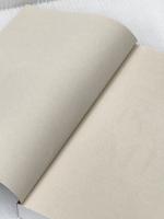 ※カバー無し Python for MBA Pythonとデータ分析を実践的に身につける 日経BP ダニエル・ゲッタ