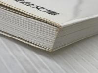 新・基本英文700選（ディスク2枚付） (駿台受験シリーズ) 駿台文庫