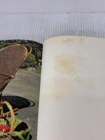 【※イタミ有り】籐工芸 (伝統美術工芸シリーズ) マコー社 真木雅子