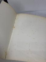 【※イタミ有り】籐工芸 (伝統美術工芸シリーズ) マコー社 真木雅子