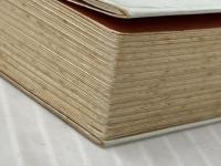 ※イタミ有 日蓮聖人の霊言―今、一切の宗派を超えて 潮文社