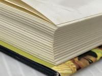 私は如何にして幸福の科学の正会員になったか 太田出版 景山 民夫