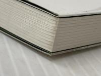 甲子園に響いた新やまびこ打線: 池田高に受け継がれる蔦野球の魂 ベースボール・マガジン社 岡田 康志