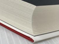 資本主義の再構築 公正で持続可能な世界をどう実現するか 日本経済新聞出版 レベッカ ヘンダーソン