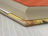 複雑系の知: 二十一世紀に求められる七つの知 講談社 田坂 広志