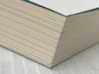 ※カバー無し なぜ世界は存在しないのか (講談社選書メチエ 666) 講談社 マルクス・ガブリエル