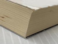 闇吹く夏: シム・フースイVersion4.0 (角川ホラー文庫 2-4) KADOKAWA 荒俣 宏