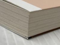 はけんねこ ~NNNと野良猫の矜恃~ (二見サラ文庫 な 1-2) 二見書房 中原 一也