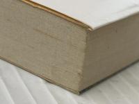 聖水 (文春文庫 せ 5-1) 文藝春秋 青来 有一