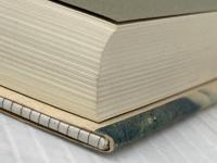 リャマとアルパカ: アンデスの先住民社会と牧畜文化 花伝社 稲村 哲也