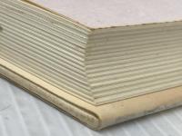 頼山陽と平田玉蘊: 江戸後期自由人の肖像 亜紀書房 池田 明子