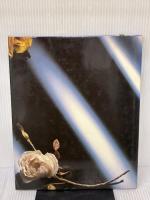 【※書き込み有り】　薔薇 (布花) 文化出版局 山上 るい