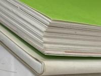 生きるんだ!ラッキ-: 山火事で生きのこったコアラの物語 (動物感動ノンフィクション) 学研プラス 池田 まき子