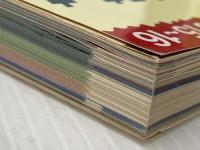 A12　地球の歩き方　フィレンツェとトスカーナ　2015～2016 ダイヤモンド・ビッグ社 地球の歩き方編集室