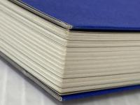 実践 仮説思考2.0 すばる舎 中野 崇