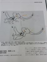 【※カバー無し・書き込み有り】顎顔面のダイナミックスを考慮した不正咬合治療へのアプローチ 東京臨床出版 佐藤貞雄