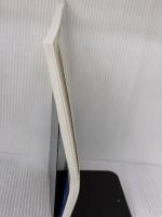 【※イタミ有り】データマネジメントが30分でわかる本 NextPublishing Authors Press はせりょ