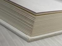 ※カバー無し 地頭力を鍛える 問題解決に活かす「フェルミ推定」 東洋経済新報社 細谷 功