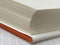 名スカウトはなぜ死んだか 講談社 六車 護