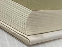 最新邪馬台国論争: 新発見ニュースによる 産業能率大学出版部 安本 美典