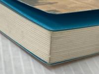 ※カバー無し ゴミ人間 日本中から笑われた夢がある KADOKAWA 西野 亮廣