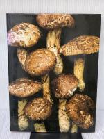 日本料理　龍吟 高橋書店 山本征治