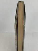 次に来る経済危機: ネオ・エコノミック・ボーダー 日本実業出版社 茂木 敏充