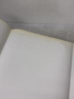 クリアアライナーの理論と臨床応用: ブラケットを使わない透明な次世代矯正装置 砂書房 金 泰元