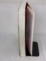 3週間完全マスター VISUAL C++ 6.0 データベース編 日経BP リン ロビソン