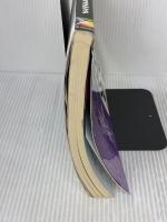 超図解ホームページ・ビルダーV6.5with HotMedi エクスメディア エクスメディア