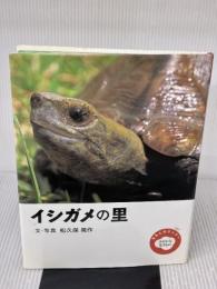 イシガメの里 (わたしのワンダーみぢかな生きもの) 小峰書店 松久保 晃作