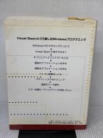 【※難あり】Visual Basic 4.0: Windows 95版 (vol.1) カットシステム Peter Norton