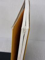 【※イタミ有り】発達障害の子どもを伸ばす魔法の言葉かけ (健康ライブラリースペシャル) 講談社 shizu